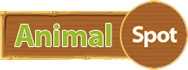 Image with missing alt attribute found on animalspot.net