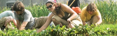 students in garden