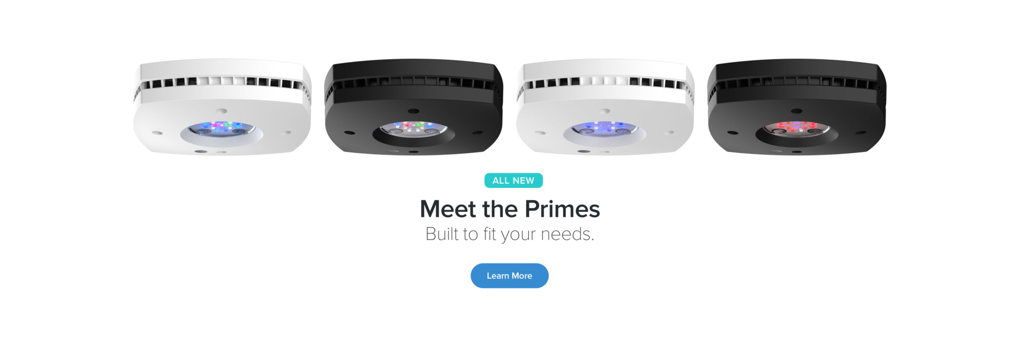 Meet the Primes