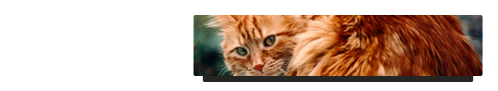 Image with missing alt attribute found on asso-web.com