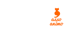 Image with missing alt attribute found on asso-web.com