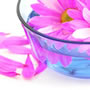 Image with missing alt attribute found on astro.com