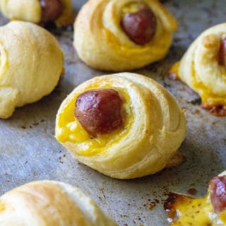 mini crescent dogs