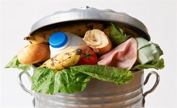 Reducing Food Waste with Cambridge Crops' All-Natural Silk Protein Coatings