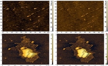Creating More Reliable AFM Results with Intelligent Scantronic&trade; Software