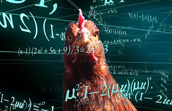 Image with missing alt attribute found on backyardchickens.com