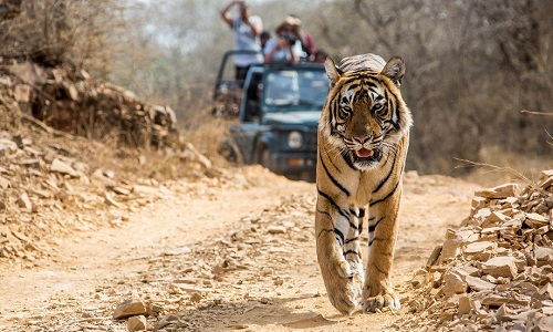 golden triangle india