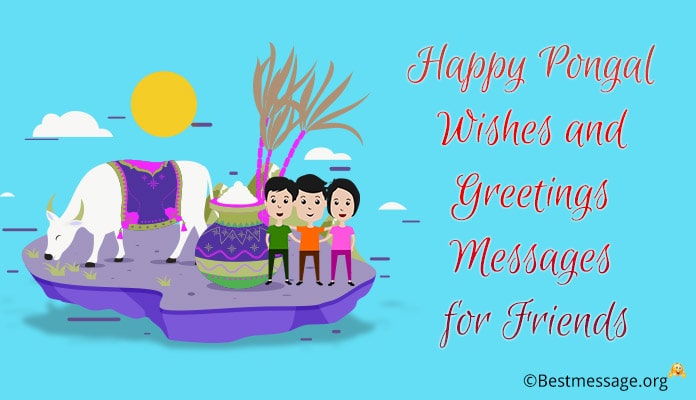 Pongal Wishes for Friends Pongal Messages