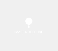 Image with missing alt attribute found on bidsquare.com
