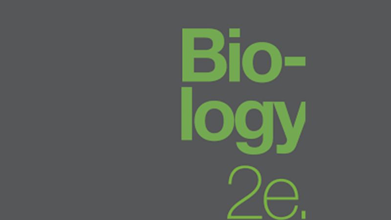 Image with missing alt attribute found on biologycorner.com