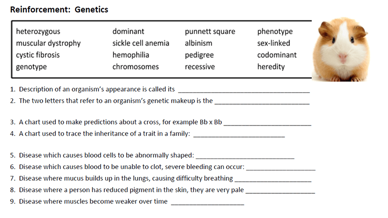 Image with missing alt attribute found on biologycorner.com