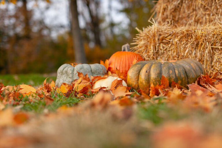 100+ Best October Quotes to Welcome the Season
