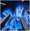 Image with missing alt attribute found on bluestarcooking.com