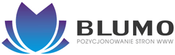 Blumo Ł&oacute;dź - pozycjonowanie