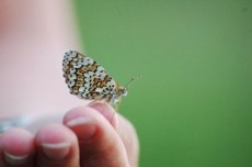 Image with missing alt attribute found on booksie.com