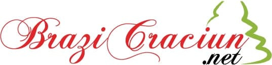 logo BraziCraciun.net