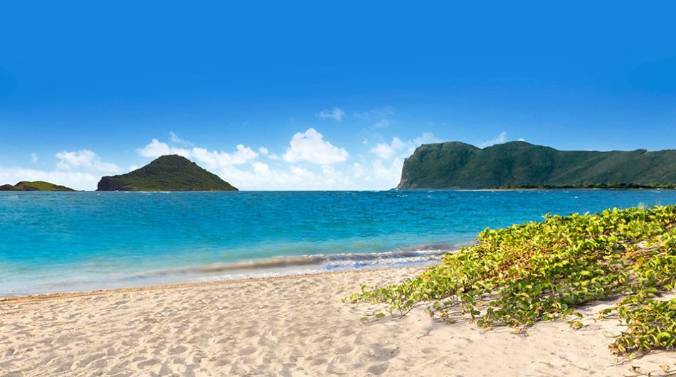 Image with missing alt attribute found on caribjournal.com