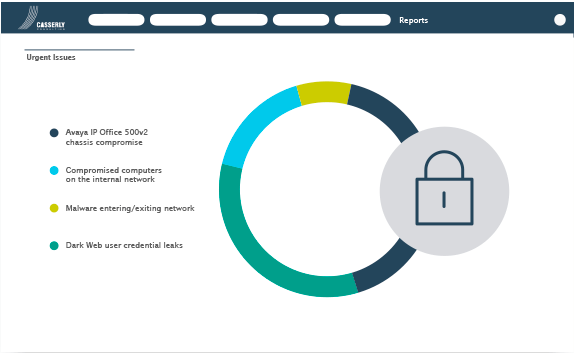 Image with missing alt attribute found on casserlyconsulting.com