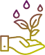 Image with missing alt attribute found on chilliapple.co.uk