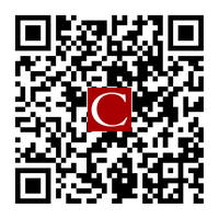 Image with missing alt attribute found on christies.com