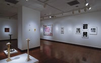 Image with missing alt attribute found on cincinnatiarts.org
