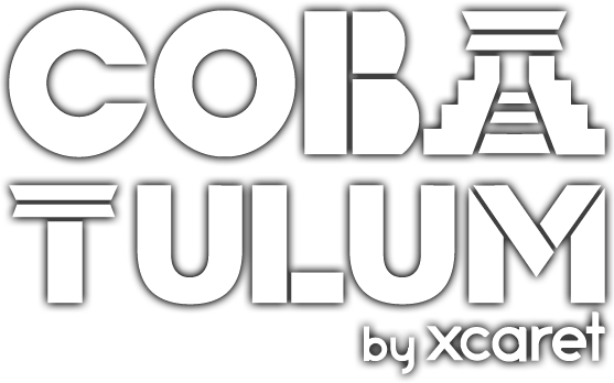 Image with missing alt attribute found on cobatour.travel