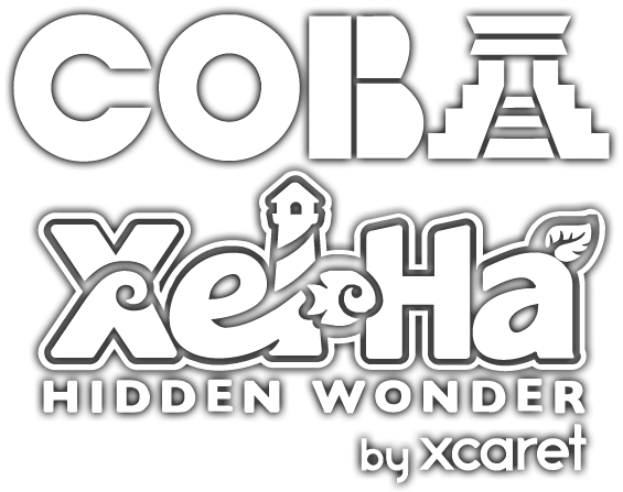 Image with missing alt attribute found on cobatour.travel