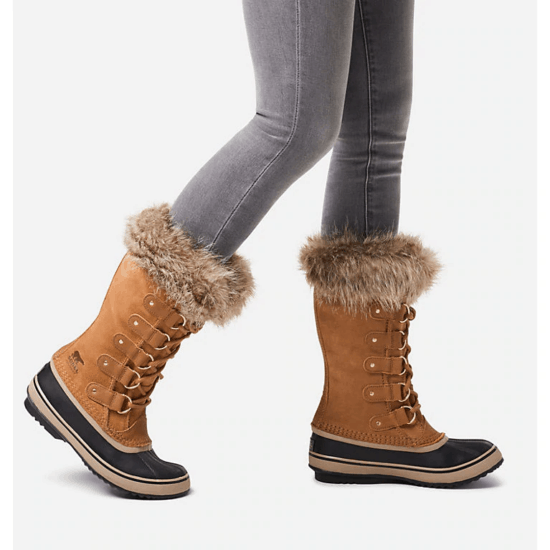 Image with missing alt attribute found on collegefashion.net
