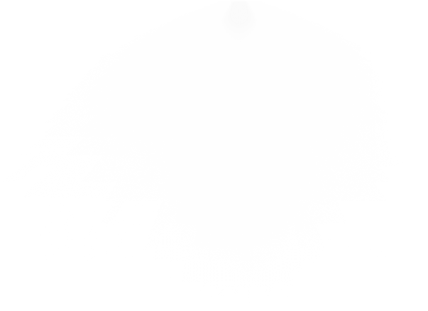 Image with missing alt attribute found on costway.com