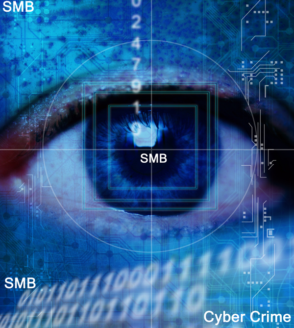 Cyber Crimes attack on small business