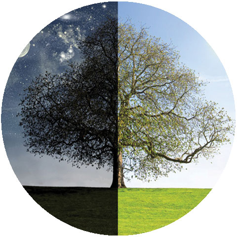 Image with missing alt attribute found on darksky.org