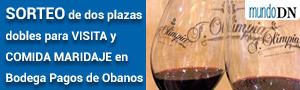 Image with missing alt attribute found on diariodenavarra.es