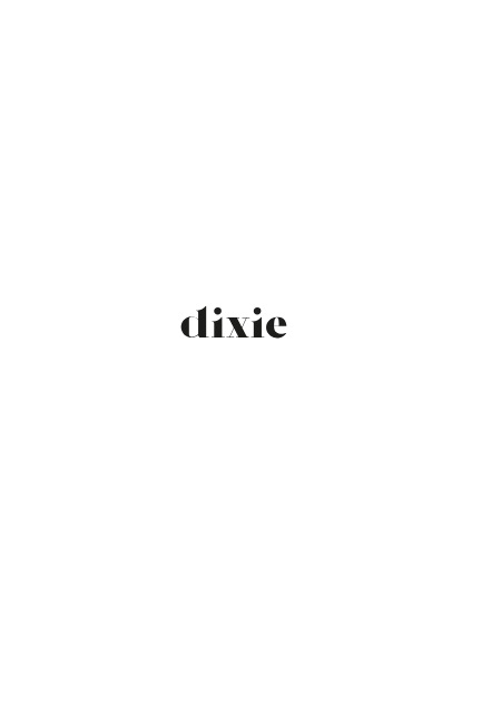 Image with missing alt attribute found on dixiefashion.com