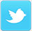 Image with missing alt attribute found on domainit.com