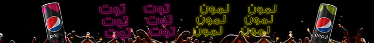 Image with missing alt attribute found on el-ahly.com