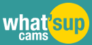 Image with missing alt attribute found on elivewebcams.com