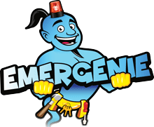 Image with missing alt attribute found on emergenie.co.uk