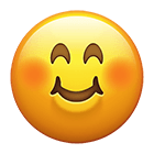 Stuffed Emoji