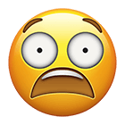 Terrified Emoji