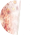 Image with missing alt attribute found on enginethemes.com