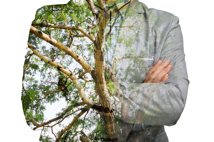 Image with missing alt attribute found on environmentalscience.org