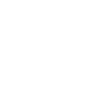 twitter icon