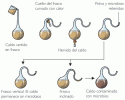 Image with missing alt attribute found on escuelapedia.com