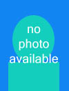 Image with missing alt attribute found on eslprintables.com