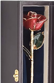 Red Glazed Eternity Rose