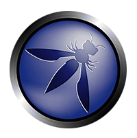 Top-10-OWASP