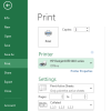 Print Options