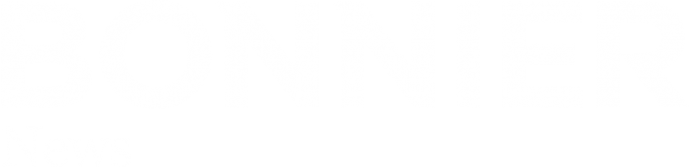 Image with missing alt attribute found on fakturino.se