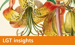 LGT Insights