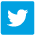 Twitter Icon